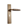 Brass Door Handle with Plate - Antique Brass