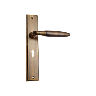 Brass Door Handle with Plate - Antique Brass