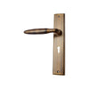 Brass Door Handle with Plate - Antique Brass