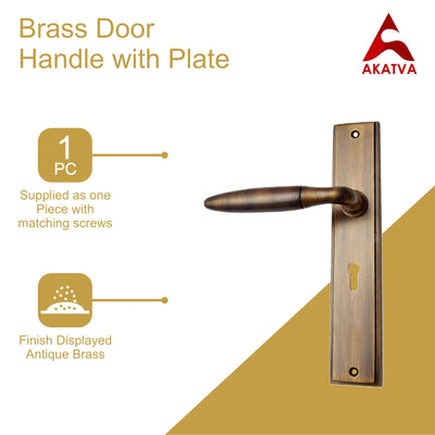 Brass Door Handle with Plate - Antique Brass