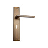 Brass Door Handle with Plate - Antique Brass