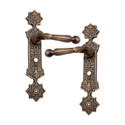 Brass Door Handle with Plate - Antique Brass