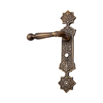 Brass Door Handle with Plate - Antique Brass