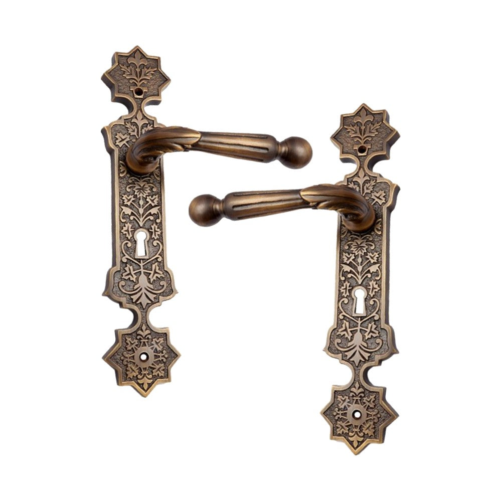 Brass Door Handle with Plate - Antique Brass