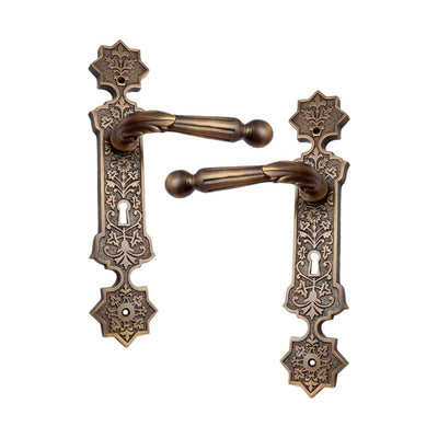 Brass Door Handle with Plate - Antique Brass