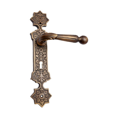 Brass Door Handle with Plate - Antique Brass