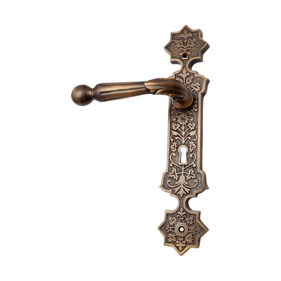 Brass Door Handle with Plate - Antique Brass