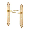 Brass Door Handle with Plate - Polish Lacquered