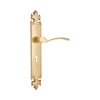 Brass Door Handle with Plate - Polish Lacquered