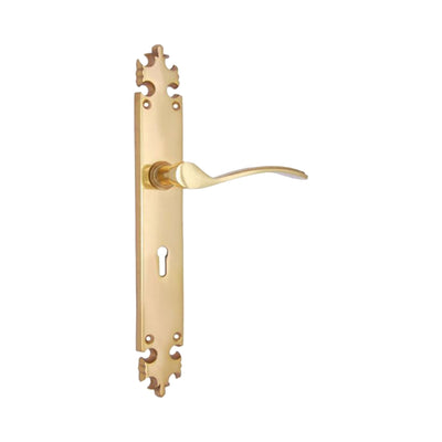 Brass Door Handle with Plate - Polish Lacquered