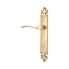 Brass Door Handle with Plate - Polish Lacquered