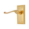 Brass Door Handle with Plate - Polish Lacquered