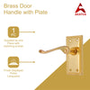 Brass Door Handle with Plate - Polish Lacquered