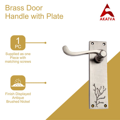 Brass Door Handle with Plate - Antique Brushed Nickel