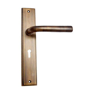 Brass Door Handle with Plate - Antique Brass