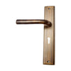 Brass Door Handle with Plate - Antique Brass