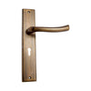 Brass Door Handle with Plate - Antique Brass