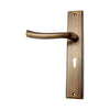 Brass Door Handle with Plate - Antique Brass