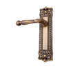 Brass Door Handle with Plate - Antique Brass