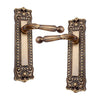 Brass Door Handle with Plate - Antique Brass