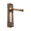 Brass Door Handle with Plate - Antique Brass