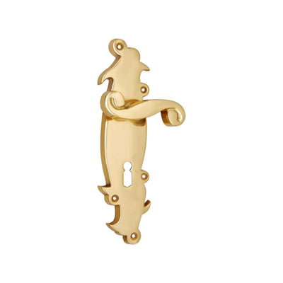 Brass Door Handle with Plate - Polish Lacquered