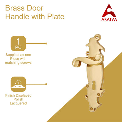 Brass Door Handle with Plate - Polish Lacquered