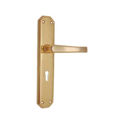 Brass Door Handle with Plate - Polish Lacquered