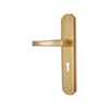 Brass Door Handle with Plate - Polish Lacquered