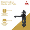 Black Iron Door Handle with Plate - Black Powder Coated Finish