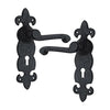 Black Iron Door Handle with Plate - Black Powder Coated Finish