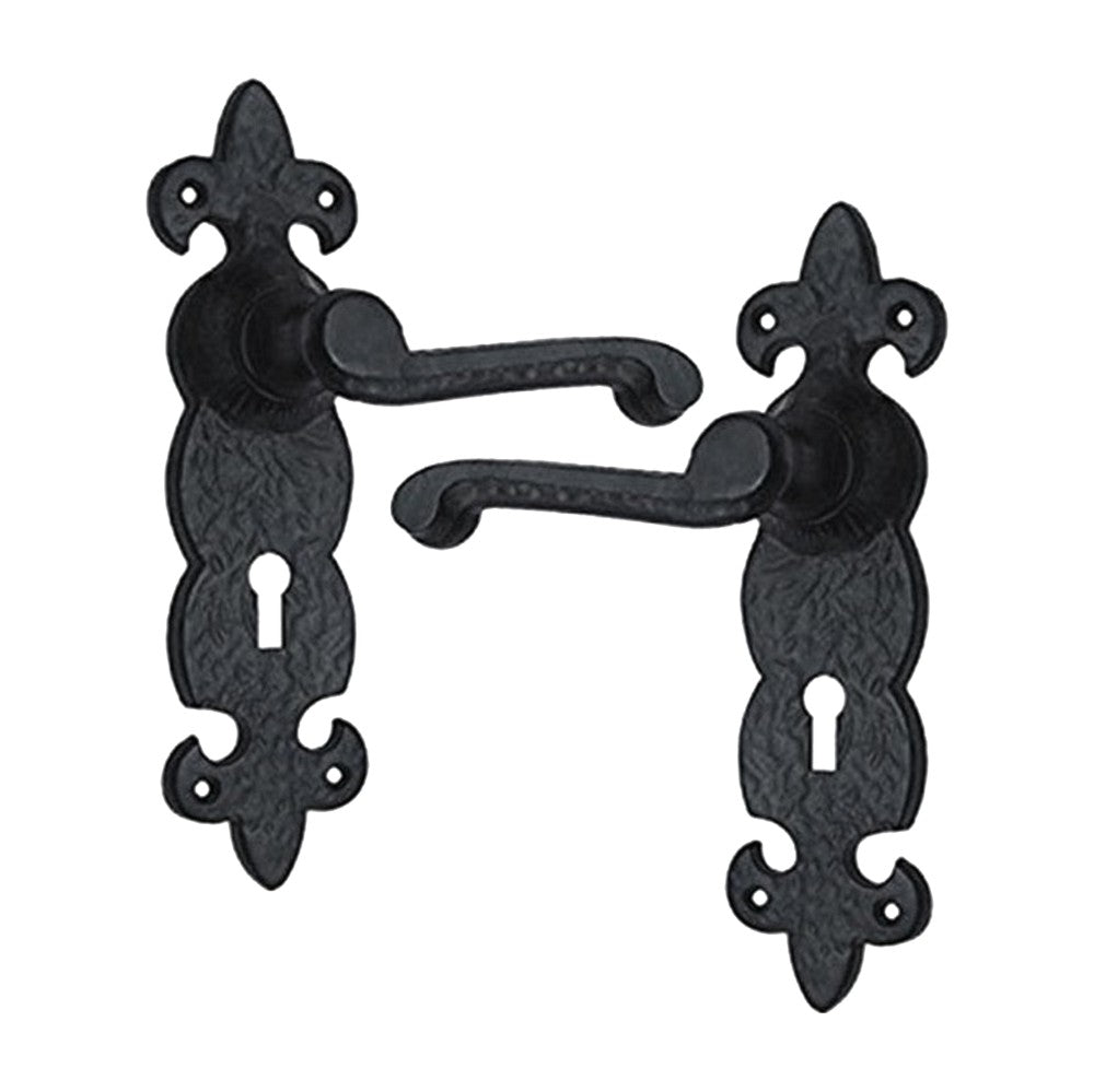 Black Iron Door Handle with Plate - Black Powder Coated Finish