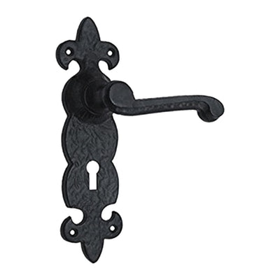 Black Iron Door Handle with Plate - Black Powder Coated Finish