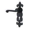 Black Iron Door Handle with Plate - Black Powder Coated Finish