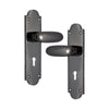 Brass Door Handle with Plate - Black Nickel