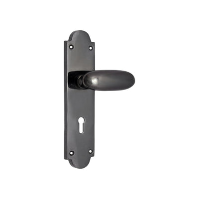 Brass Door Handle with Plate - Black Nickel