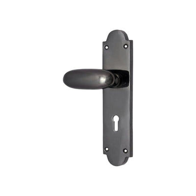 Brass Door Handle with Plate - Black Nickel